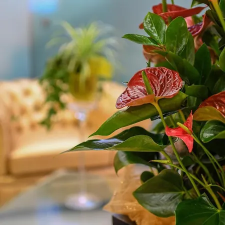 摩德纳中央公园酒店 4* 摩德纳