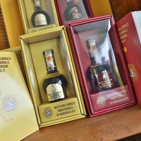 호텔 센트럴 파크